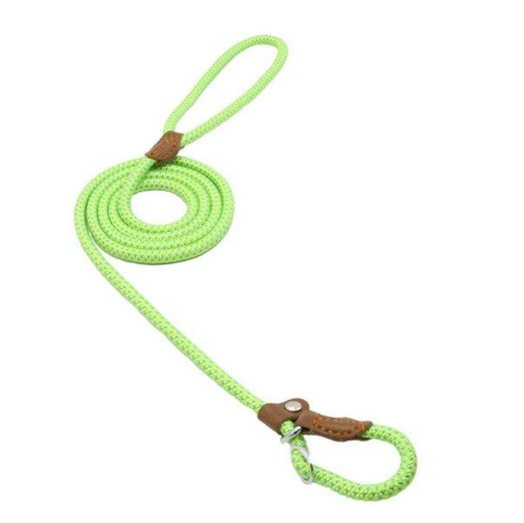 Set Collar y Correa de Nylon para Perros - Cómodo, Resistente y Colorido