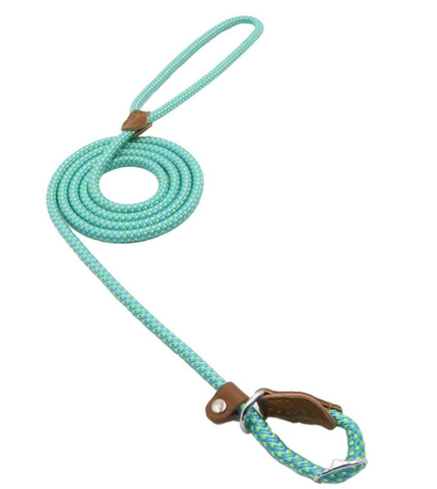 Set Collar y Correa de Nylon para Perros - Cómodo, Resistente y Colorido