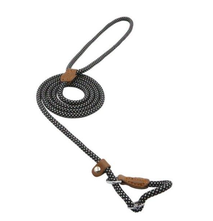 Set Collar y Correa de Nylon para Perros - Cómodo, Resistente y Colorido