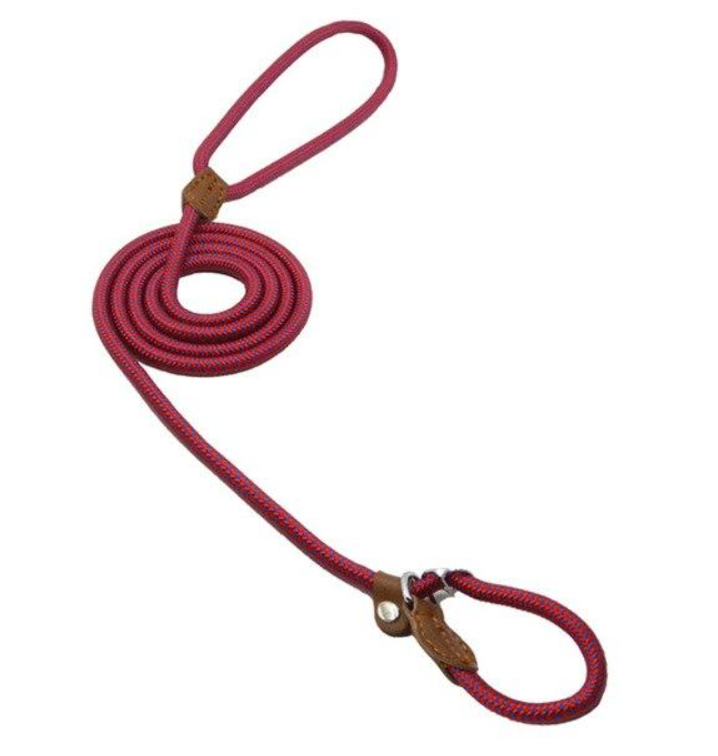 Set Collar y Correa de Nylon para Perros - Cómodo, Resistente y Colorido