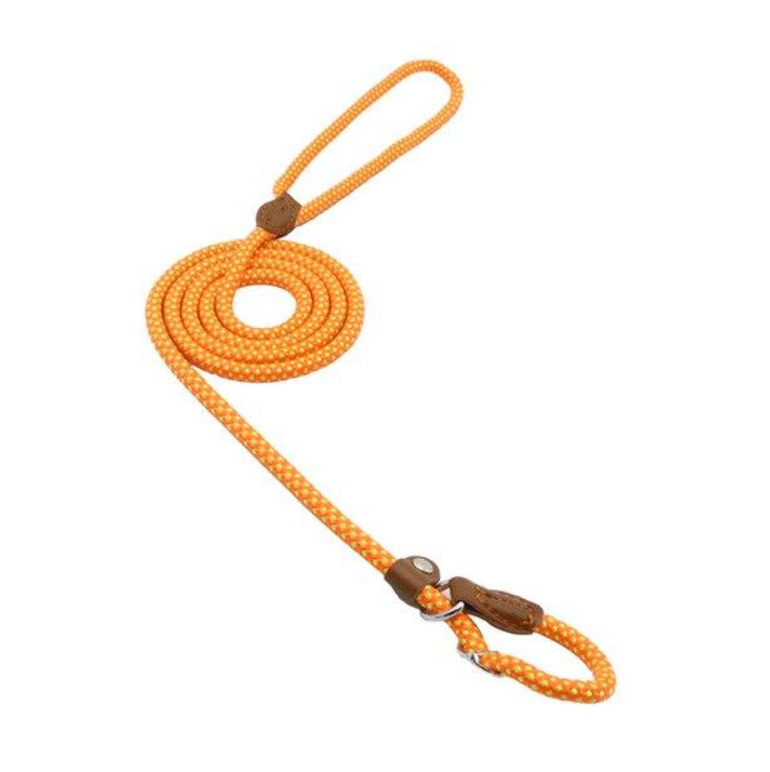 Set Collar y Correa de Nylon para Perros - Cómodo, Resistente y Colorido