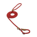 Set Collar y Correa de Nylon para Perros - Cómodo, Resistente y Colorido