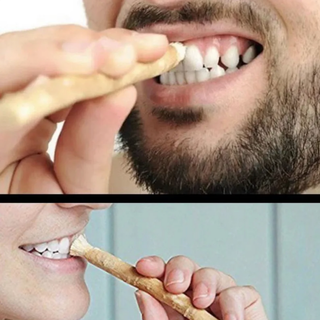 Palo Miswak Natural para Limpieza Dental - Cepillo de Dientes Tradicional de Madera